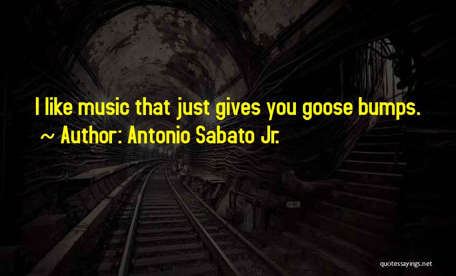 Antonio Sabato Jr. Quotes: I Like Music That Just Gives You Goose Bumps.
