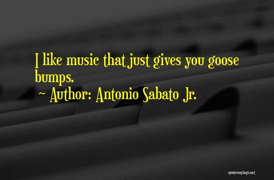 Antonio Sabato Jr. Quotes: I Like Music That Just Gives You Goose Bumps.
