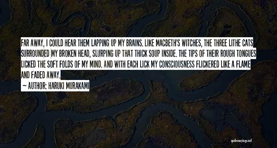 Haruki Murakami Quotes: Far Away, I Could Hear Them Lapping Up My Brains. Like Macbeth's Witches, The Three Lithe Cats Surrounded My Broken