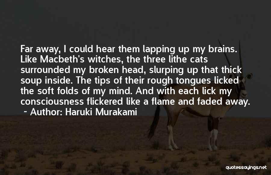 Haruki Murakami Quotes: Far Away, I Could Hear Them Lapping Up My Brains. Like Macbeth's Witches, The Three Lithe Cats Surrounded My Broken