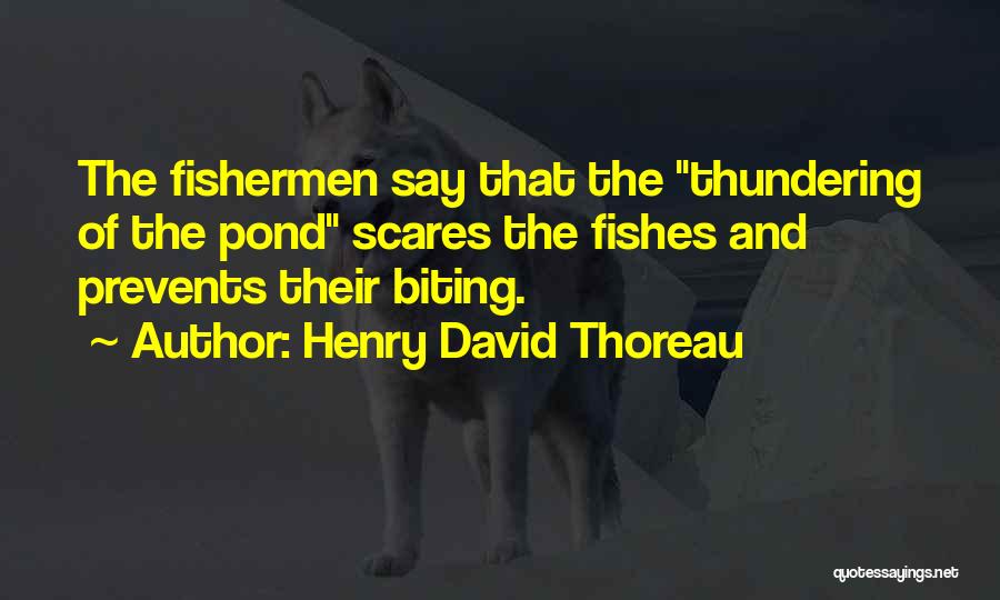 Henry David Thoreau Quotes: The Fishermen Say That The Thundering Of The Pond Scares The Fishes And Prevents Their Biting.