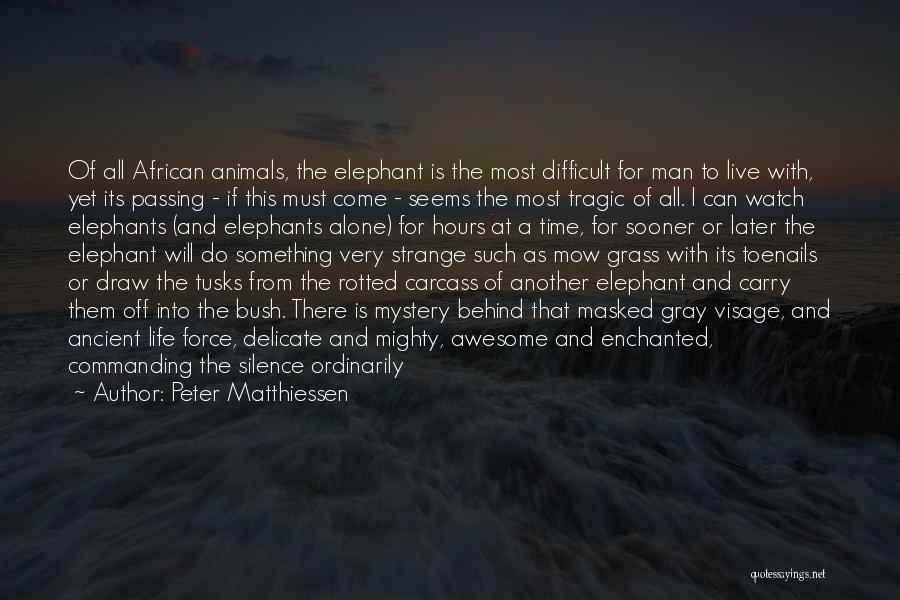 Peter Matthiessen Quotes: Of All African Animals, The Elephant Is The Most Difficult For Man To Live With, Yet Its Passing - If