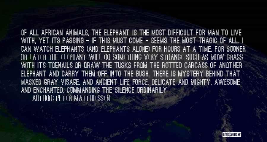 Peter Matthiessen Quotes: Of All African Animals, The Elephant Is The Most Difficult For Man To Live With, Yet Its Passing - If