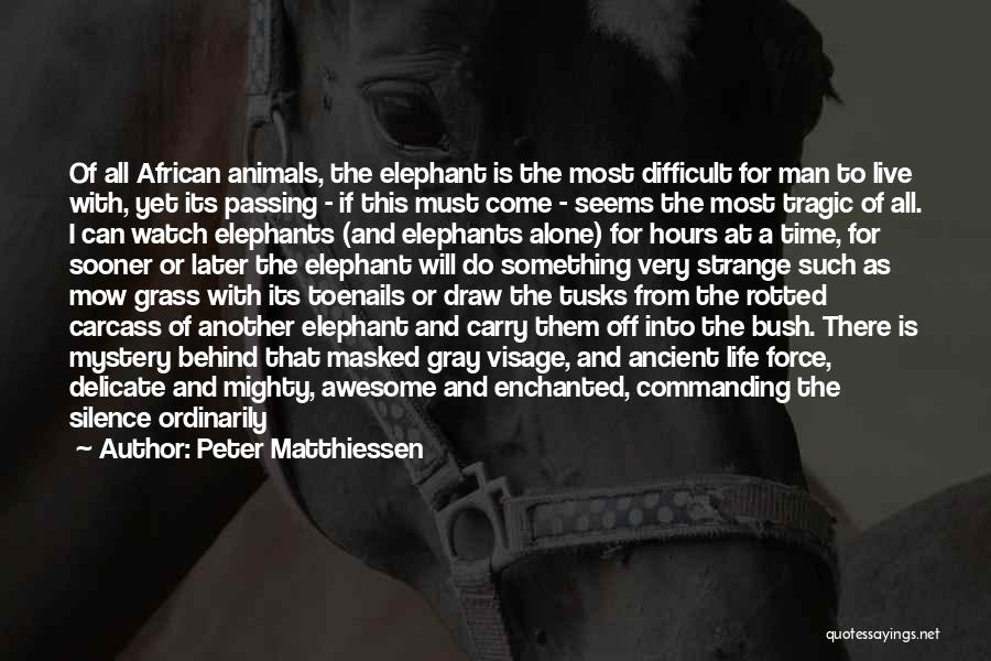 Peter Matthiessen Quotes: Of All African Animals, The Elephant Is The Most Difficult For Man To Live With, Yet Its Passing - If