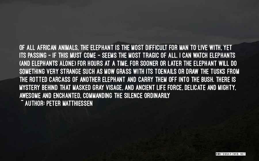 Peter Matthiessen Quotes: Of All African Animals, The Elephant Is The Most Difficult For Man To Live With, Yet Its Passing - If