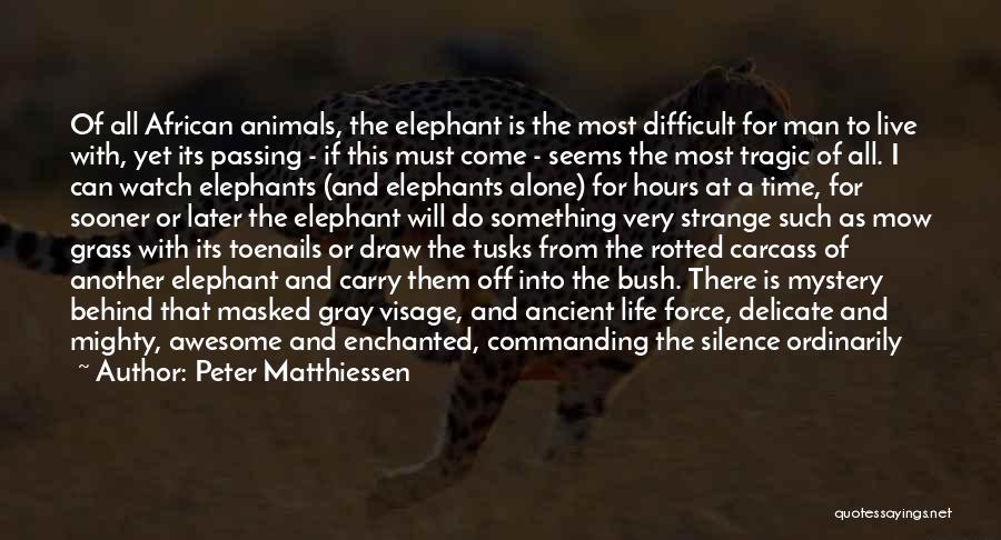 Peter Matthiessen Quotes: Of All African Animals, The Elephant Is The Most Difficult For Man To Live With, Yet Its Passing - If