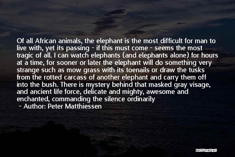 Peter Matthiessen Quotes: Of All African Animals, The Elephant Is The Most Difficult For Man To Live With, Yet Its Passing - If