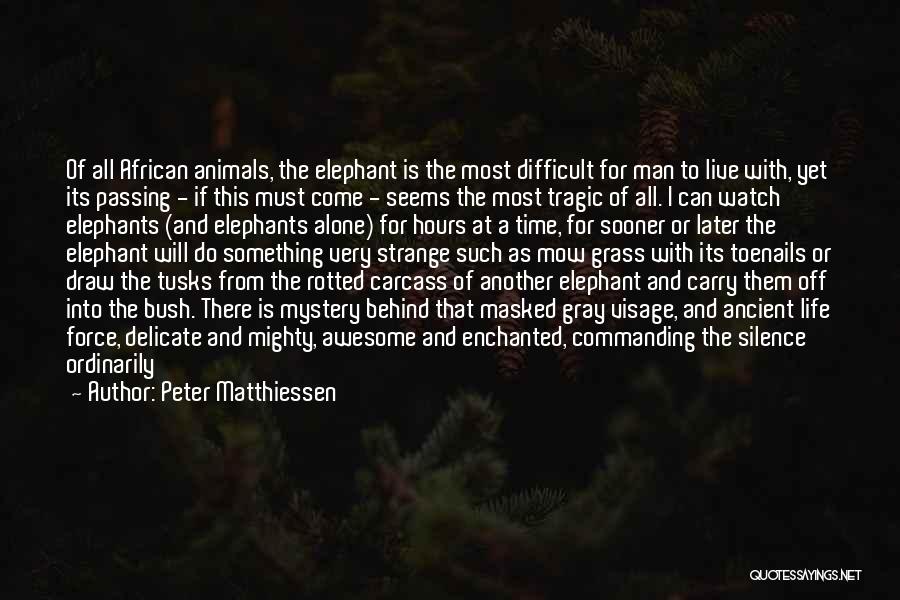 Peter Matthiessen Quotes: Of All African Animals, The Elephant Is The Most Difficult For Man To Live With, Yet Its Passing - If