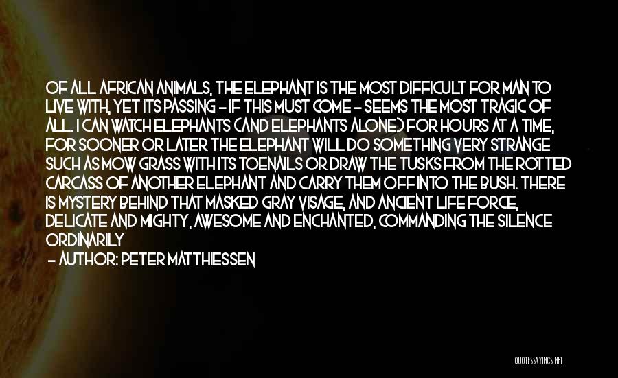 Peter Matthiessen Quotes: Of All African Animals, The Elephant Is The Most Difficult For Man To Live With, Yet Its Passing - If