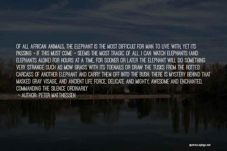 Peter Matthiessen Quotes: Of All African Animals, The Elephant Is The Most Difficult For Man To Live With, Yet Its Passing - If