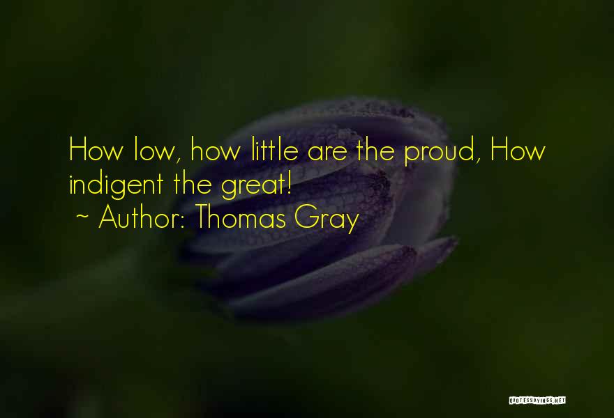 Thomas Gray Quotes: How Low, How Little Are The Proud, How Indigent The Great!