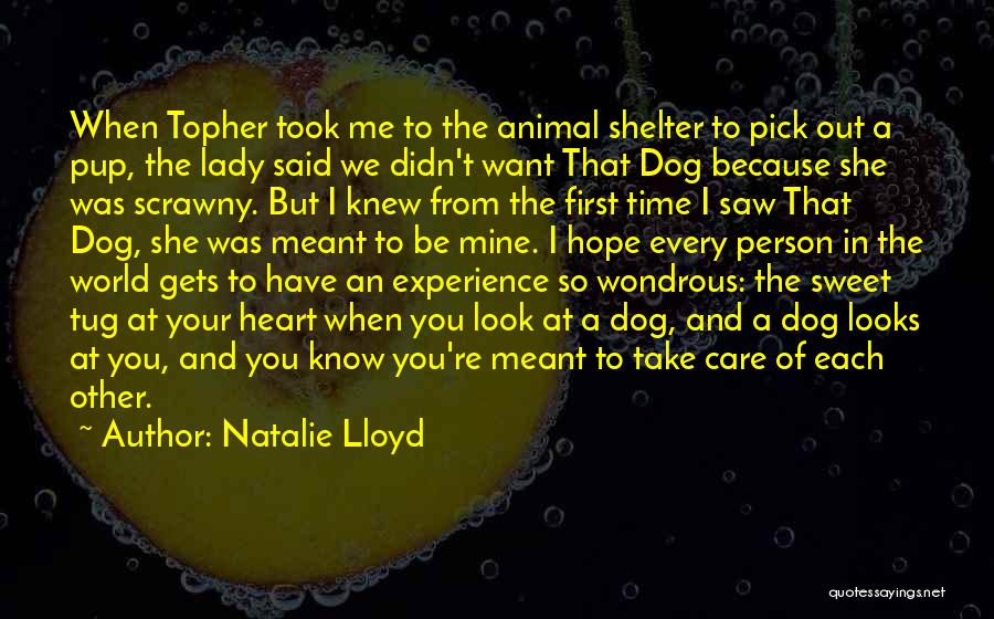 Natalie Lloyd Quotes: When Topher Took Me To The Animal Shelter To Pick Out A Pup, The Lady Said We Didn't Want That