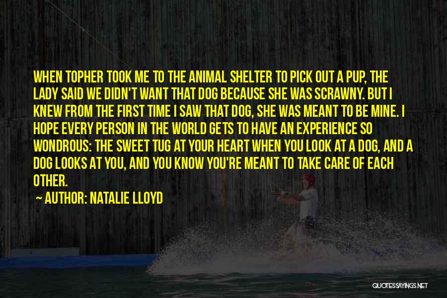 Natalie Lloyd Quotes: When Topher Took Me To The Animal Shelter To Pick Out A Pup, The Lady Said We Didn't Want That