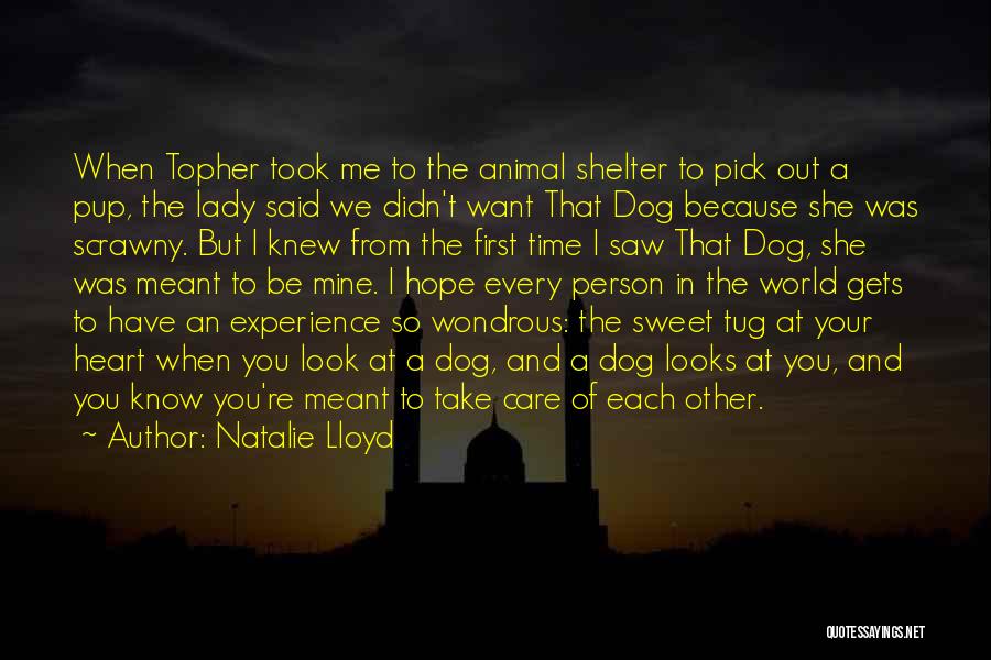 Natalie Lloyd Quotes: When Topher Took Me To The Animal Shelter To Pick Out A Pup, The Lady Said We Didn't Want That