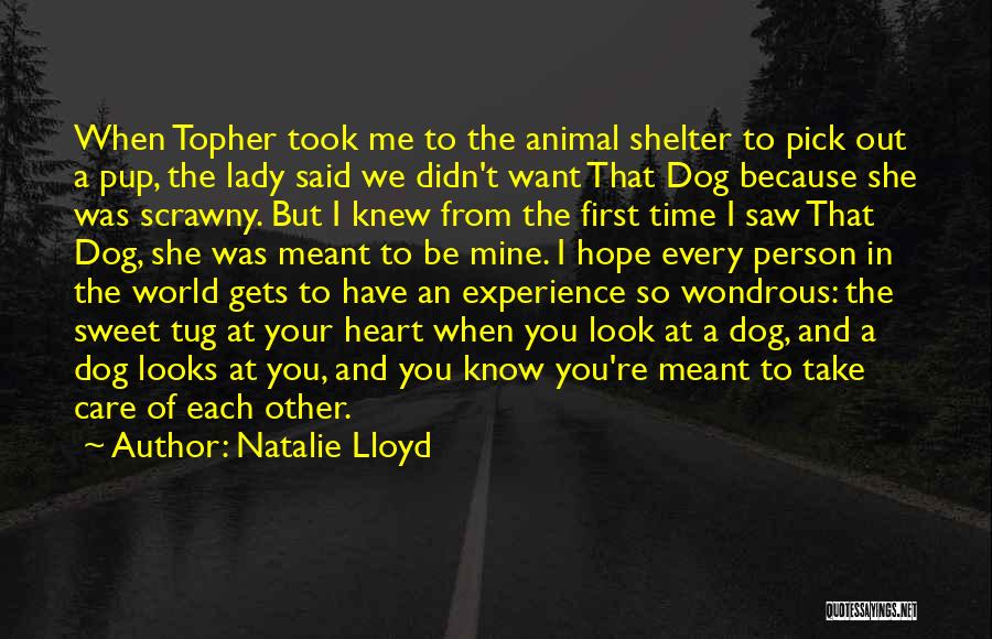 Natalie Lloyd Quotes: When Topher Took Me To The Animal Shelter To Pick Out A Pup, The Lady Said We Didn't Want That