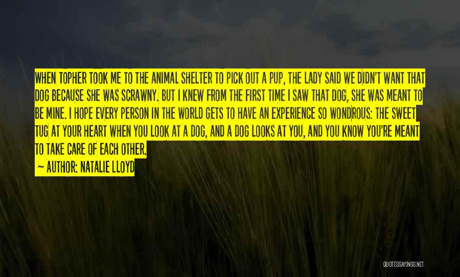 Natalie Lloyd Quotes: When Topher Took Me To The Animal Shelter To Pick Out A Pup, The Lady Said We Didn't Want That