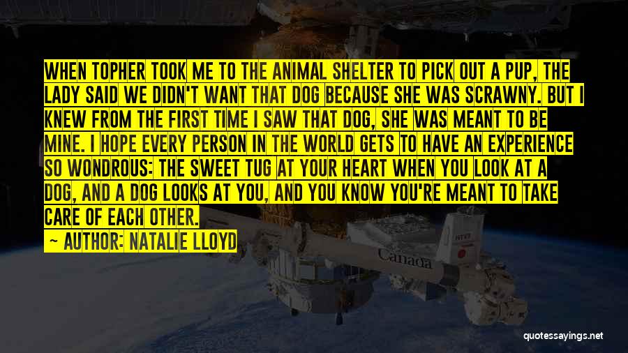 Natalie Lloyd Quotes: When Topher Took Me To The Animal Shelter To Pick Out A Pup, The Lady Said We Didn't Want That