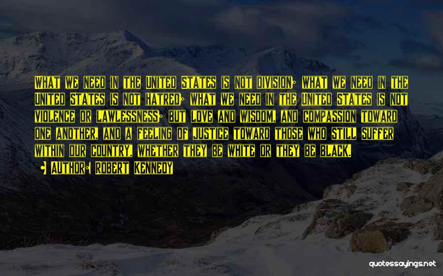 Robert Kennedy Quotes: What We Need In The United States Is Not Division; What We Need In The United States Is Not Hatred;