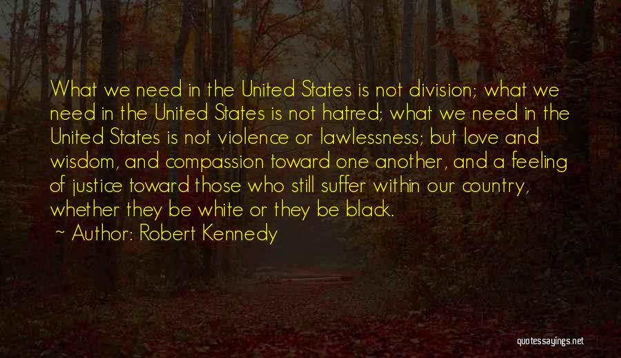 Robert Kennedy Quotes: What We Need In The United States Is Not Division; What We Need In The United States Is Not Hatred;