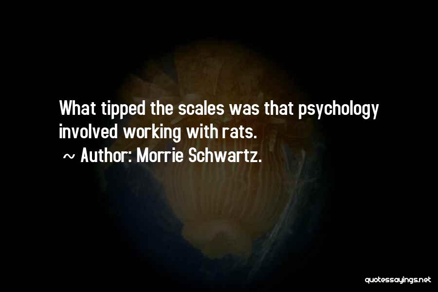 Morrie Schwartz. Quotes: What Tipped The Scales Was That Psychology Involved Working With Rats.