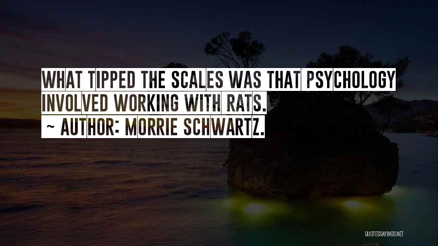 Morrie Schwartz. Quotes: What Tipped The Scales Was That Psychology Involved Working With Rats.