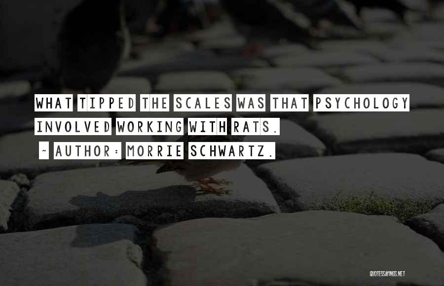 Morrie Schwartz. Quotes: What Tipped The Scales Was That Psychology Involved Working With Rats.