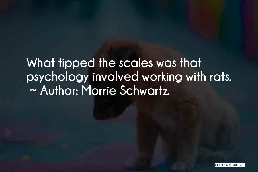 Morrie Schwartz. Quotes: What Tipped The Scales Was That Psychology Involved Working With Rats.