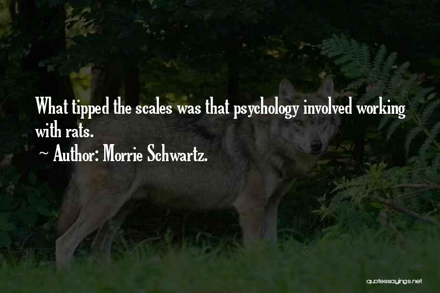 Morrie Schwartz. Quotes: What Tipped The Scales Was That Psychology Involved Working With Rats.