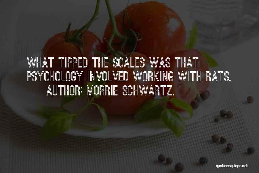 Morrie Schwartz. Quotes: What Tipped The Scales Was That Psychology Involved Working With Rats.