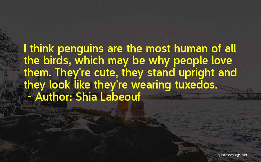 Shia Labeouf Quotes: I Think Penguins Are The Most Human Of All The Birds, Which May Be Why People Love Them. They're Cute,