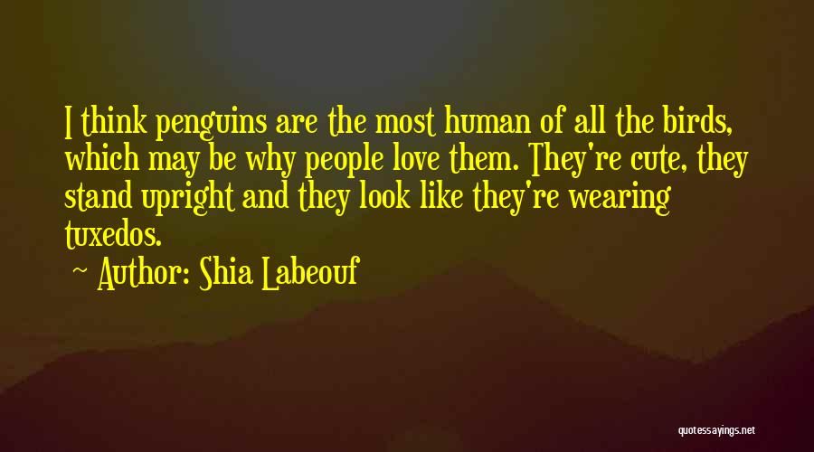 Shia Labeouf Quotes: I Think Penguins Are The Most Human Of All The Birds, Which May Be Why People Love Them. They're Cute,