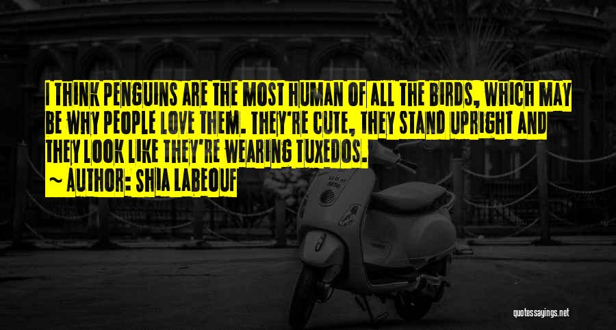 Shia Labeouf Quotes: I Think Penguins Are The Most Human Of All The Birds, Which May Be Why People Love Them. They're Cute,