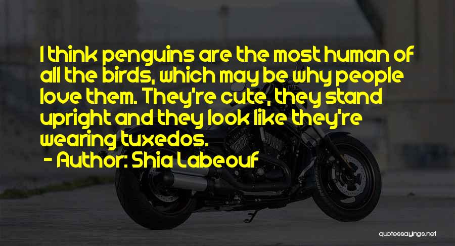 Shia Labeouf Quotes: I Think Penguins Are The Most Human Of All The Birds, Which May Be Why People Love Them. They're Cute,