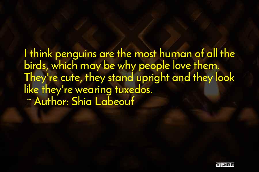 Shia Labeouf Quotes: I Think Penguins Are The Most Human Of All The Birds, Which May Be Why People Love Them. They're Cute,