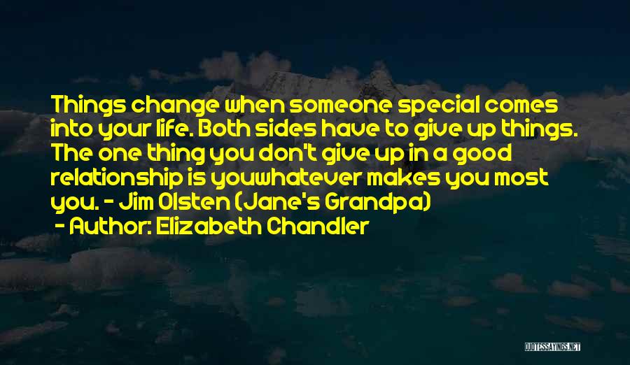 Elizabeth Chandler Quotes: Things Change When Someone Special Comes Into Your Life. Both Sides Have To Give Up Things. The One Thing You