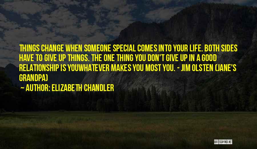 Elizabeth Chandler Quotes: Things Change When Someone Special Comes Into Your Life. Both Sides Have To Give Up Things. The One Thing You