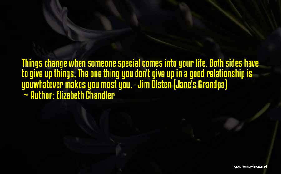 Elizabeth Chandler Quotes: Things Change When Someone Special Comes Into Your Life. Both Sides Have To Give Up Things. The One Thing You