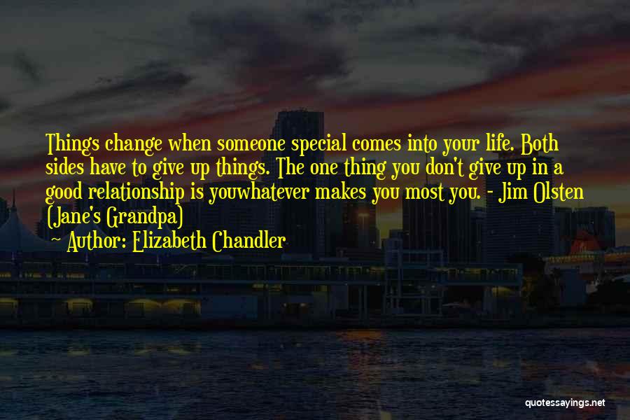 Elizabeth Chandler Quotes: Things Change When Someone Special Comes Into Your Life. Both Sides Have To Give Up Things. The One Thing You