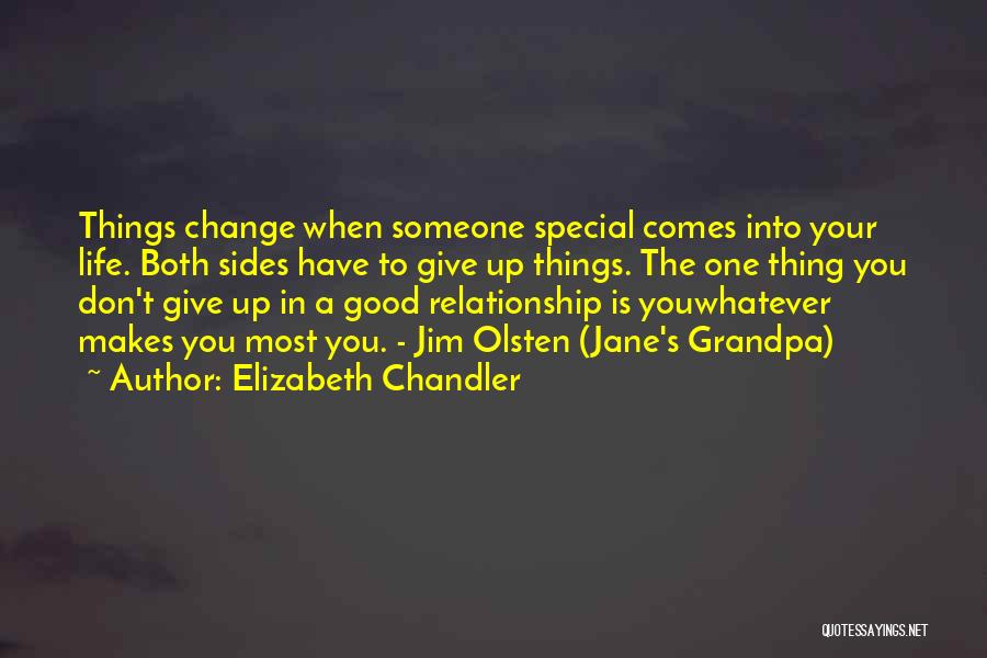 Elizabeth Chandler Quotes: Things Change When Someone Special Comes Into Your Life. Both Sides Have To Give Up Things. The One Thing You