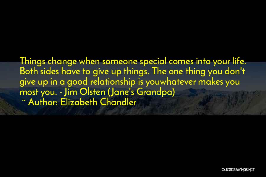 Elizabeth Chandler Quotes: Things Change When Someone Special Comes Into Your Life. Both Sides Have To Give Up Things. The One Thing You
