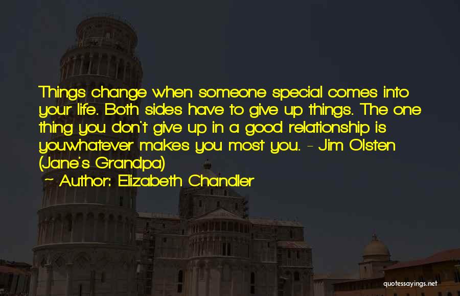 Elizabeth Chandler Quotes: Things Change When Someone Special Comes Into Your Life. Both Sides Have To Give Up Things. The One Thing You