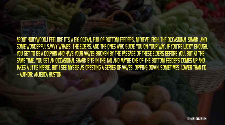 Anjelica Huston Quotes: About Hollywood.i Feel Like It's A Big Ocean, Full Of Bottom Feeders, Midlevel Fish, The Occasional Shark, And Some Wonderful