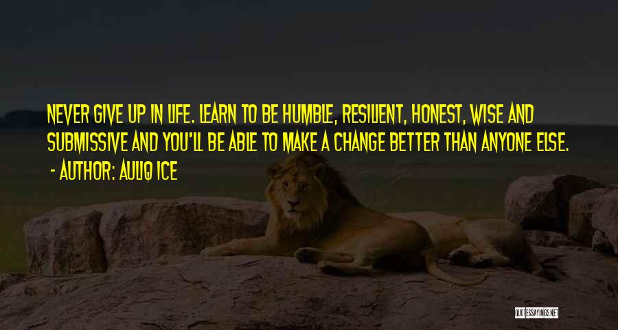 Auliq Ice Quotes: Never Give Up In Life. Learn To Be Humble, Resilient, Honest, Wise And Submissive And You'll Be Able To Make