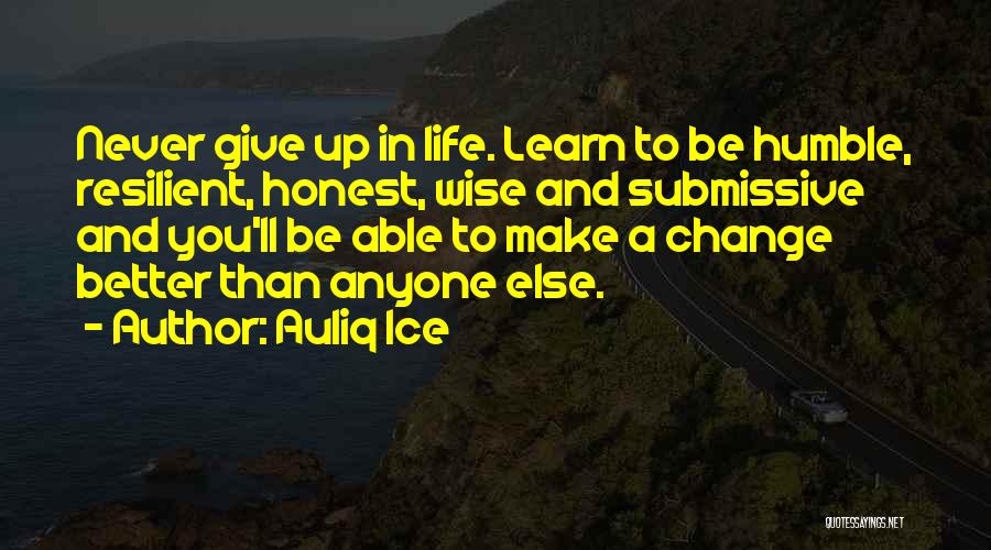 Auliq Ice Quotes: Never Give Up In Life. Learn To Be Humble, Resilient, Honest, Wise And Submissive And You'll Be Able To Make