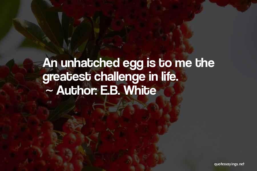 E.B. White Quotes: An Unhatched Egg Is To Me The Greatest Challenge In Life.