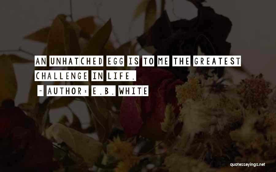 E.B. White Quotes: An Unhatched Egg Is To Me The Greatest Challenge In Life.