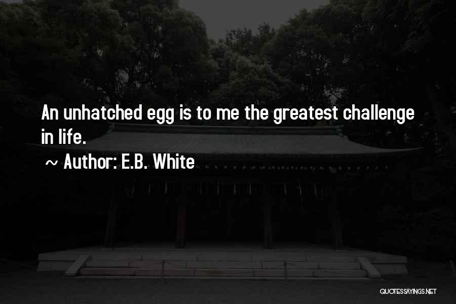 E.B. White Quotes: An Unhatched Egg Is To Me The Greatest Challenge In Life.