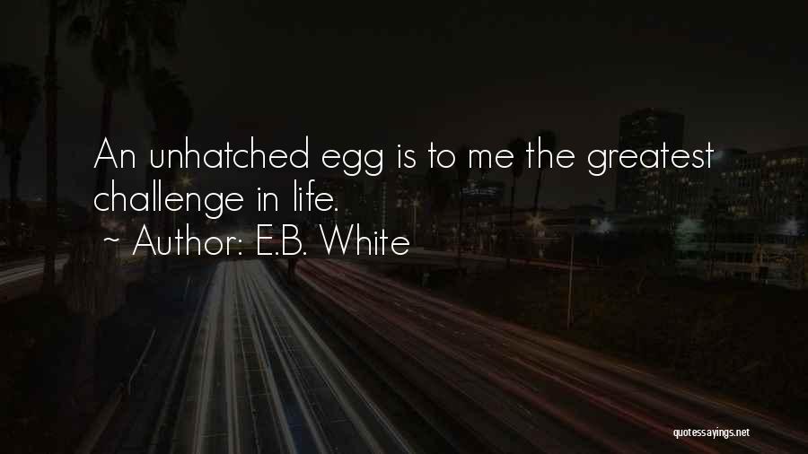 E.B. White Quotes: An Unhatched Egg Is To Me The Greatest Challenge In Life.