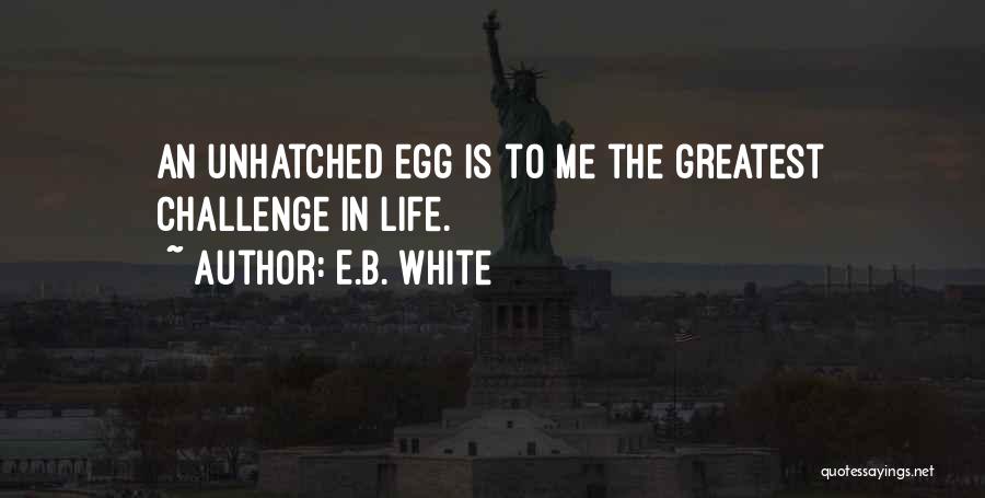 E.B. White Quotes: An Unhatched Egg Is To Me The Greatest Challenge In Life.