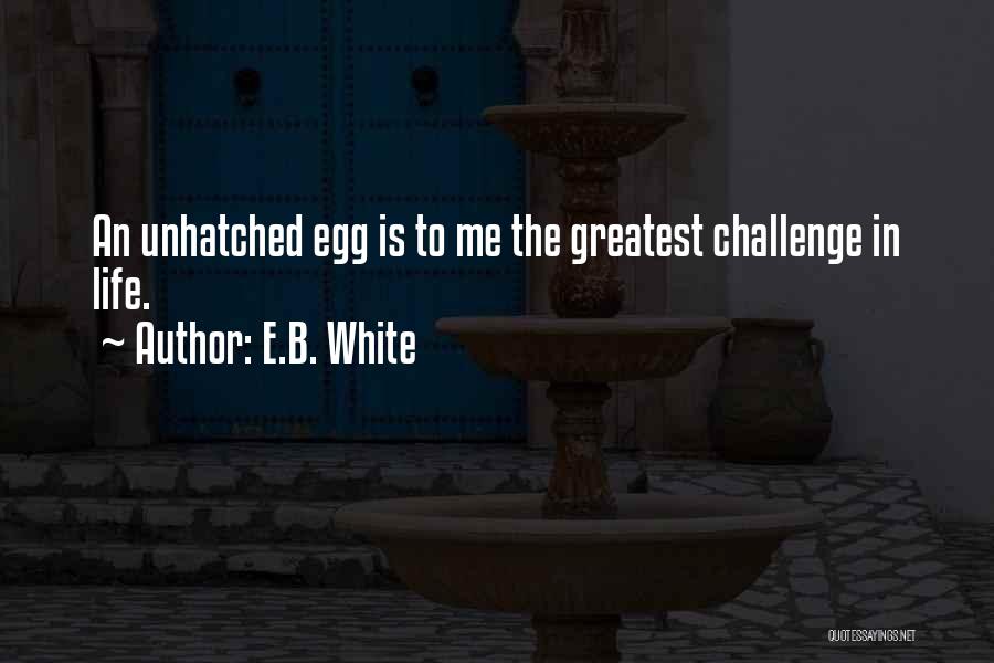 E.B. White Quotes: An Unhatched Egg Is To Me The Greatest Challenge In Life.